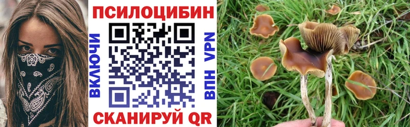 Псилоцибиновые грибы мухоморы  цена   Омск 